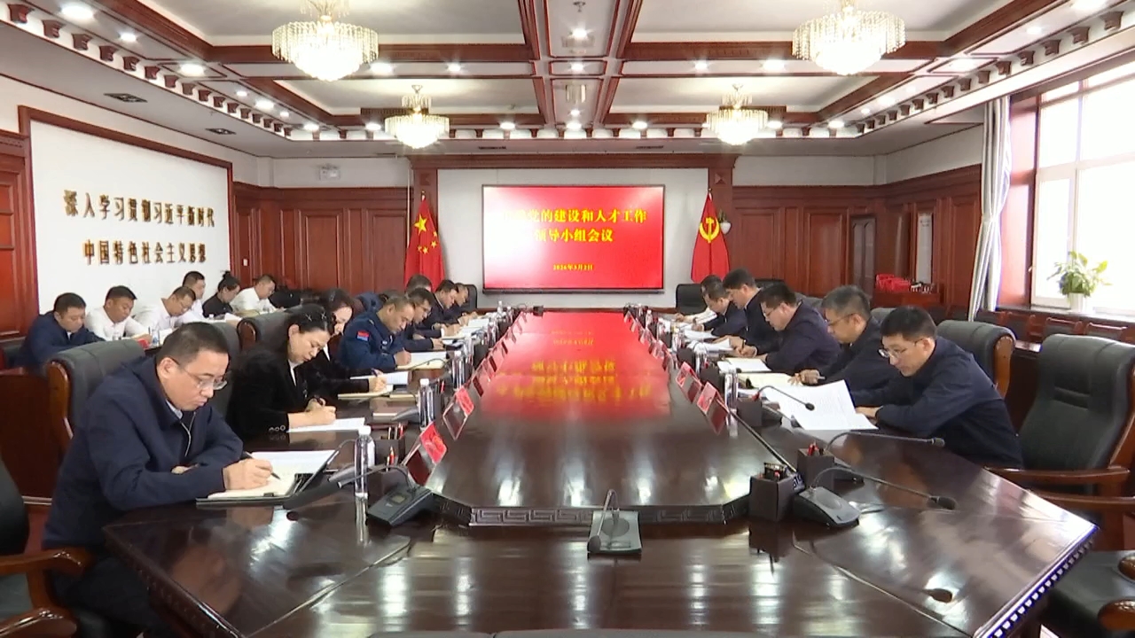 张海峰主持召开市委党的建设和人才工作领导小组会议