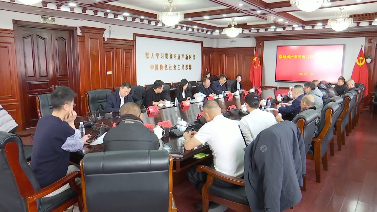 微短剧产业发展与国际传播研讨会在我市召开