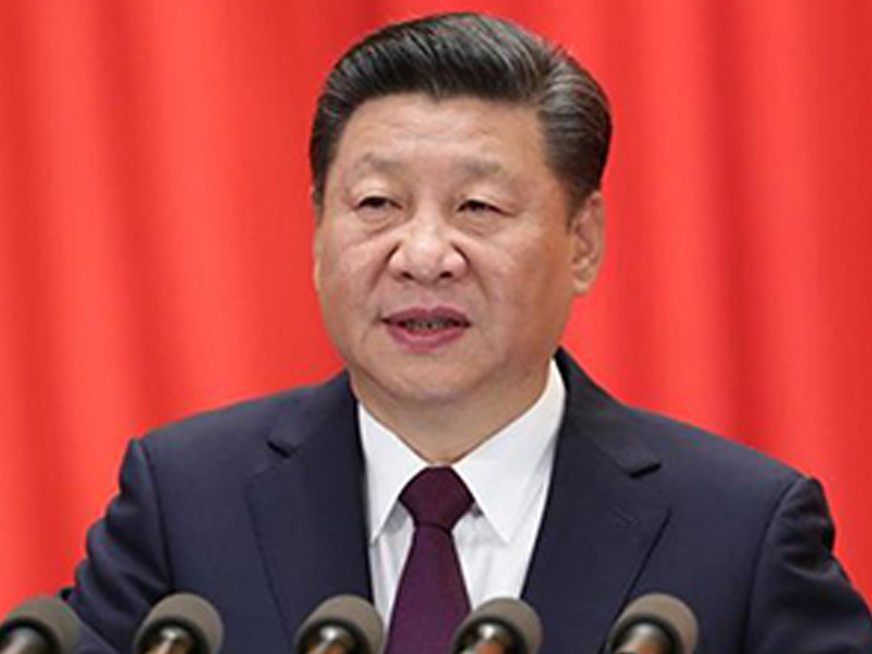《在习近平新时代中国特色社会主义精神指引下》习近平总书记关于总体国家安全观重要论述的生动实践