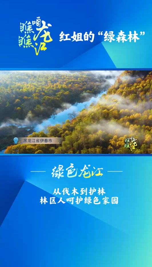 绿色龙江 题目：《红姐的“绿森林”》 简介：从伐木到护林，林区人呵护绿色家园。