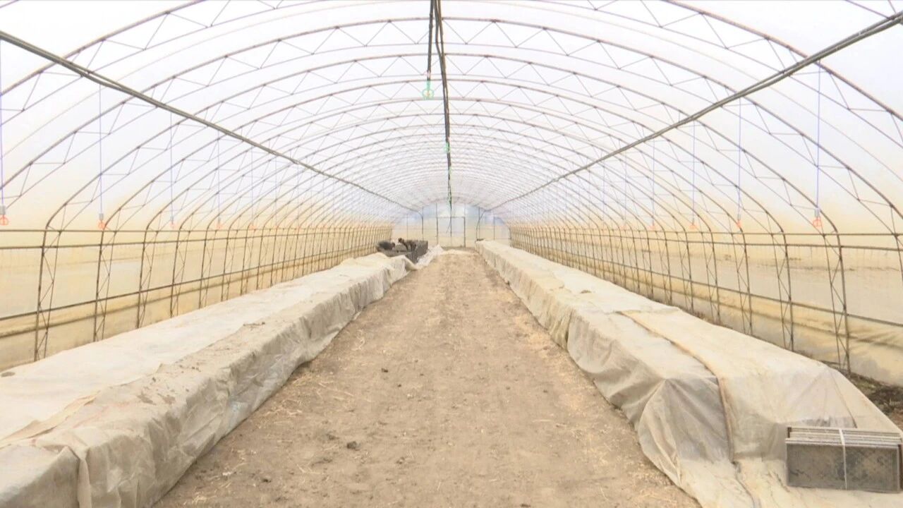 两会新风润黑土 马年奋蹄备春耕 | 河东朝鲜族乡长道水稻种植专业合作社全面启动水稻育苗催芽工作