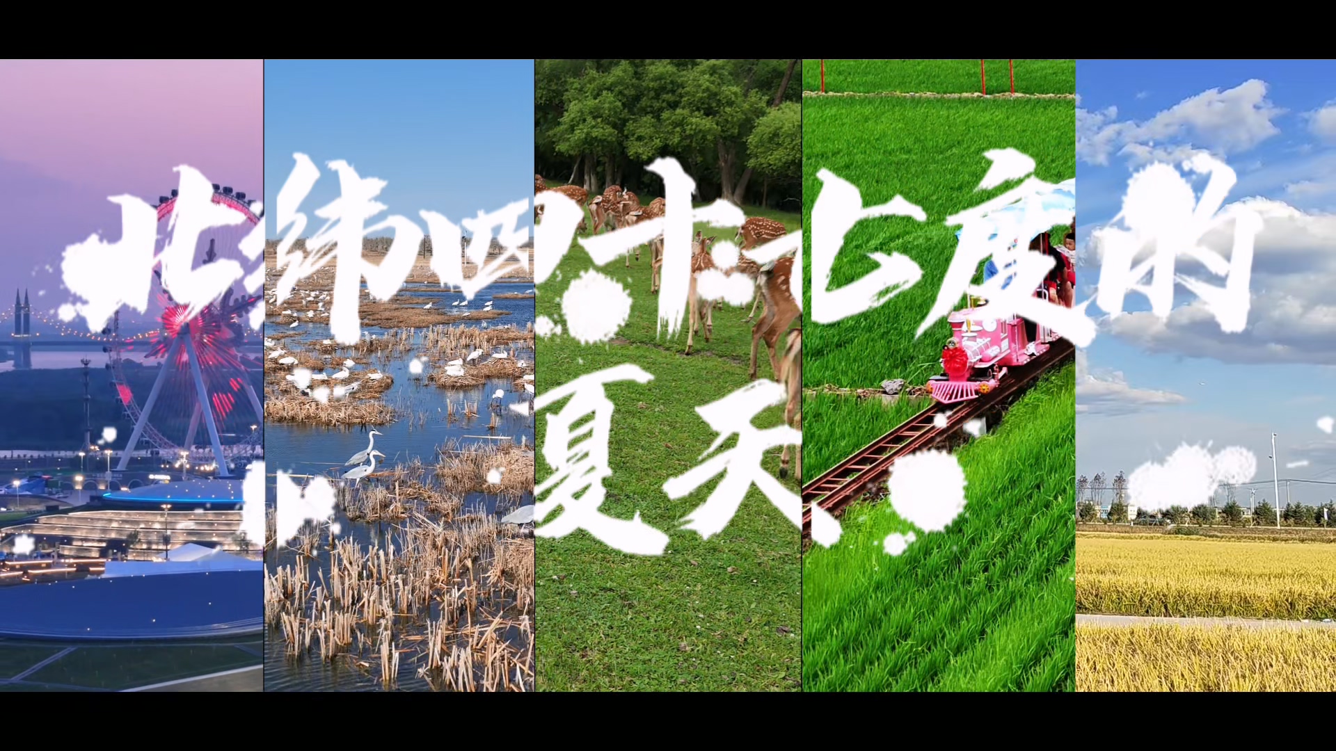 2025文明龙江展示展播 第十集