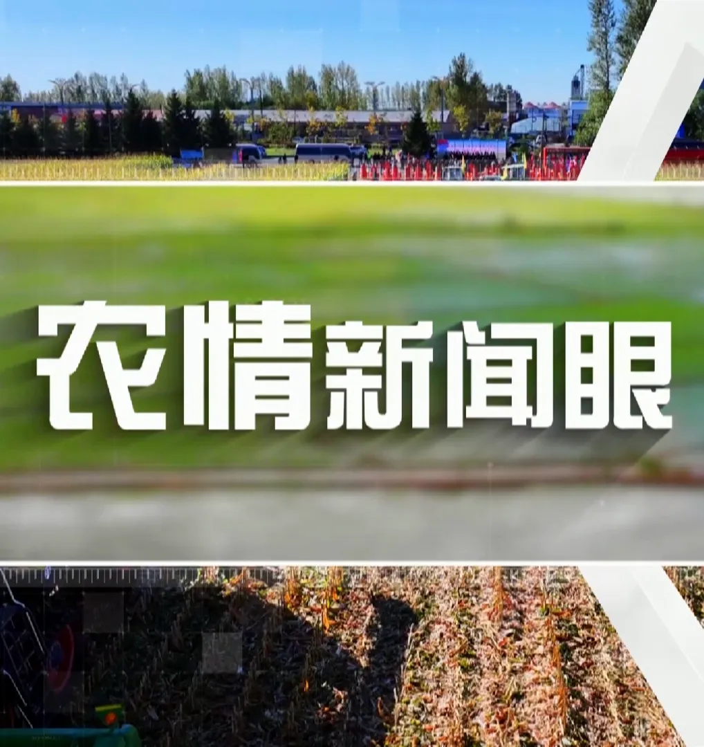 大到暴雪突袭，萝北农业专家解读：对春耕原来是利好！