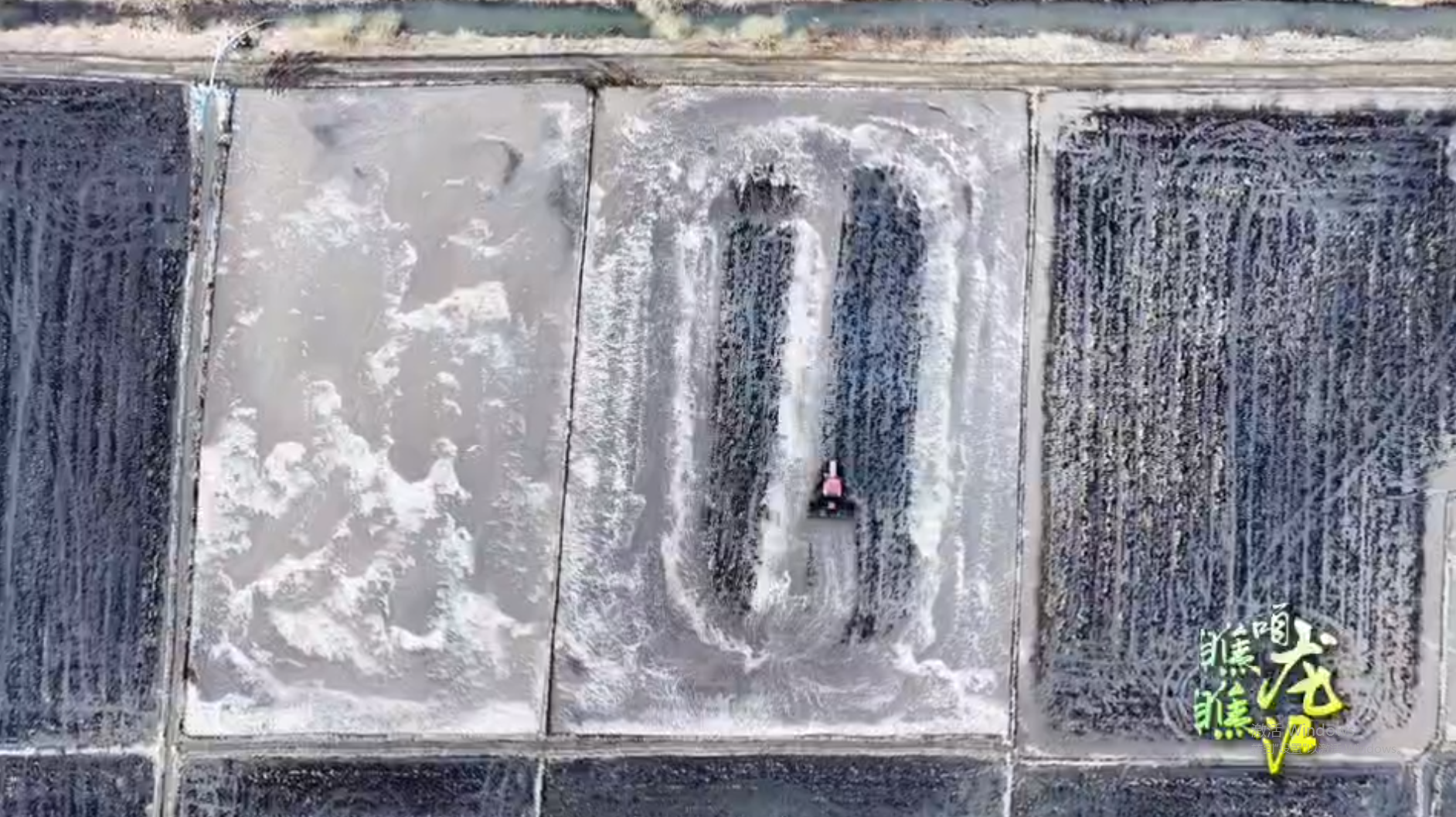 质量龙江 题目：《黑土地“上链接”》 简介：湘妹子黑土筑梦，好收成线上开花