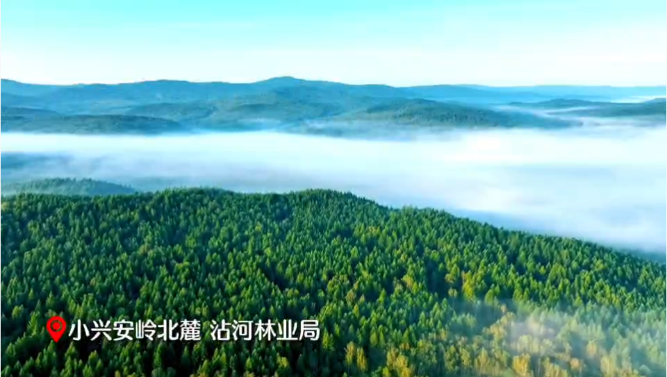 绿色龙江《一座塔 两代情》