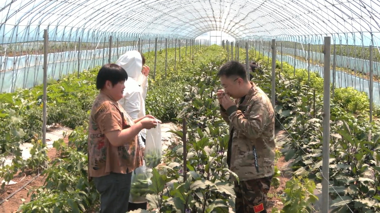 科技援边引良种 特色果蔬富农户