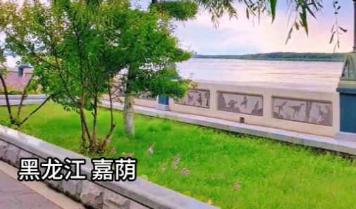 嘉荫：被这片花海惊艳了！紫花绿柳相映成趣，江畔公园美成油画~ 