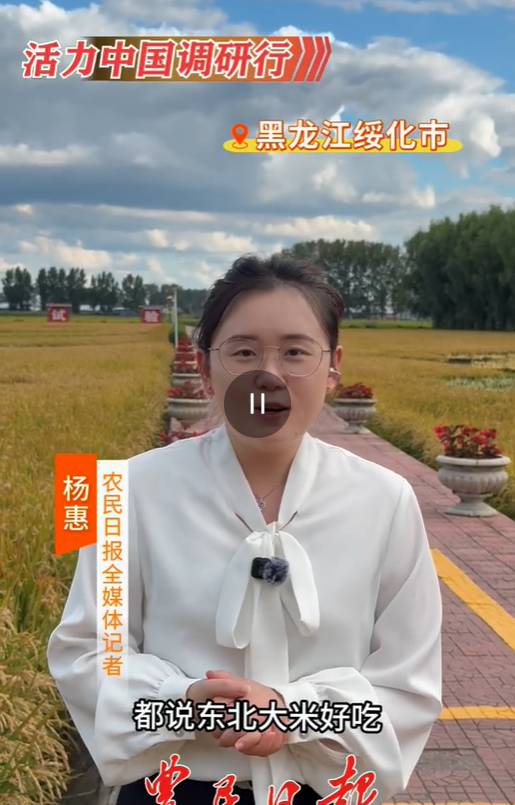 都说东北大米好吃，那好吃又高产的水稻品种是怎么育出来的呢？